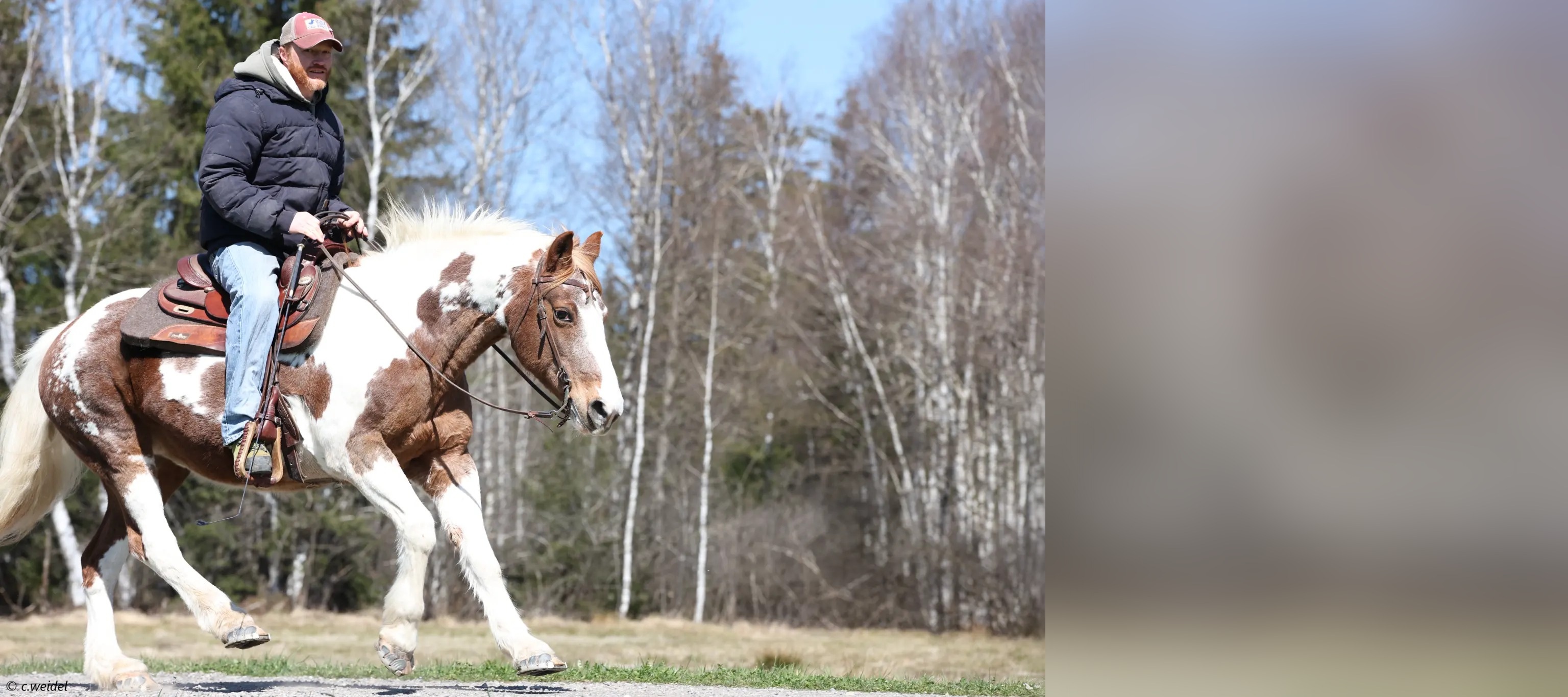 Reiter auf Pferd im Alltag – TPS Hufschutz in der Praxis
