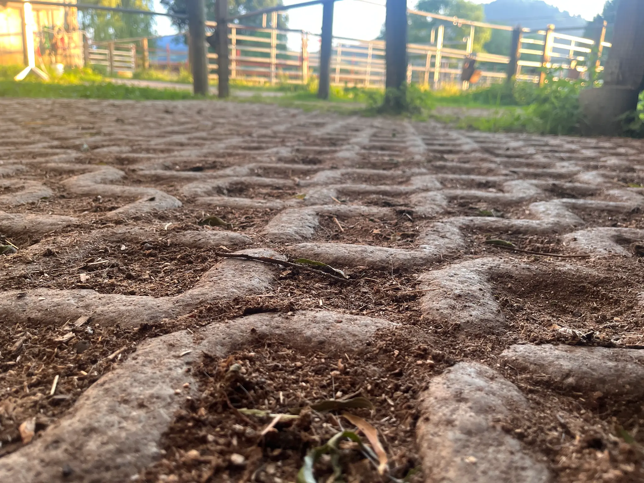 Rasengitter – befestigter Paddock-Untergrund